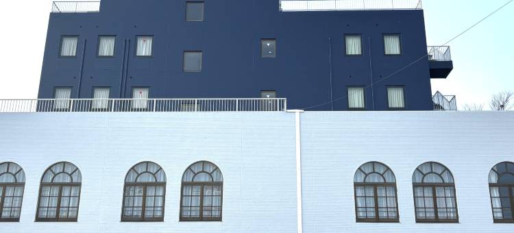 哈马达新城堡酒店(Hamada New Castle Hotel)图片