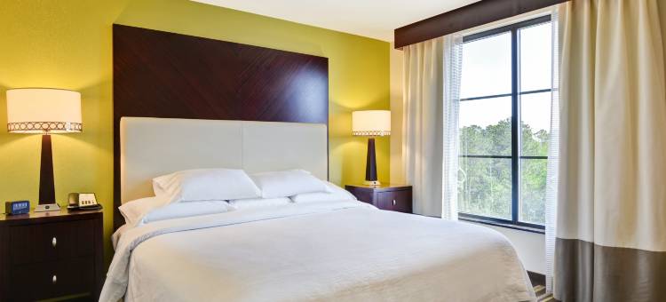 萨凡纳机场希尔顿安泊酒店(Embassy Suites by Hilton Savannah Airport)图片