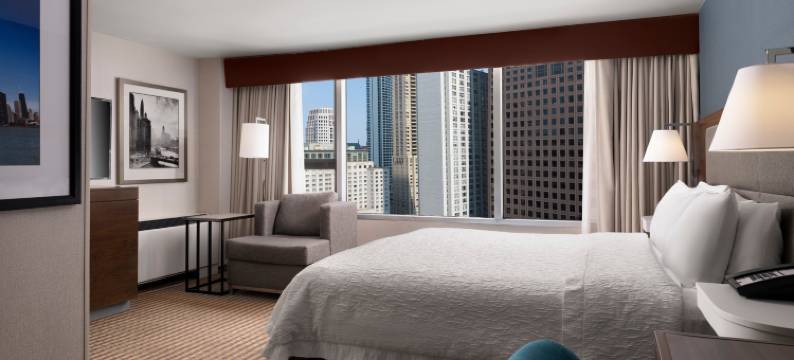 芝加哥市中心/壮丽大道希尔顿欢朋酒店(Hampton Inn Chicago Downtown/Magnificent Mile)图片