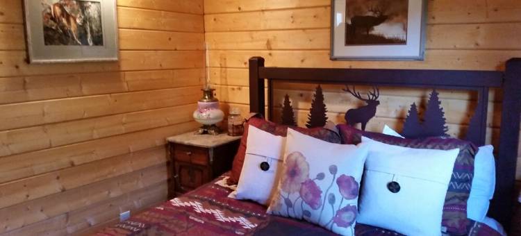 蒙大拿州西北部林地宁静放松温馨木屋 11月特惠!(Cozy Cabin in the Woods of NW Montana, Peaceful & Relaxing! November SPECIALS!)图片