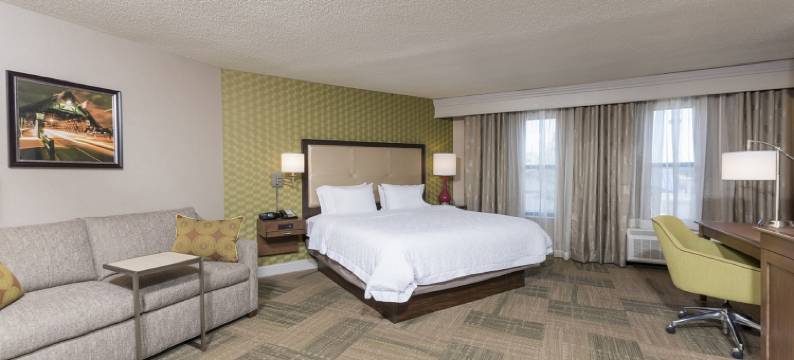 希尔顿欢朋酒店-芒特普莱森特(Hampton Inn Mt. Pleasant)图片