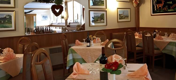 达沃斯酒店(Hotel Davost)图片