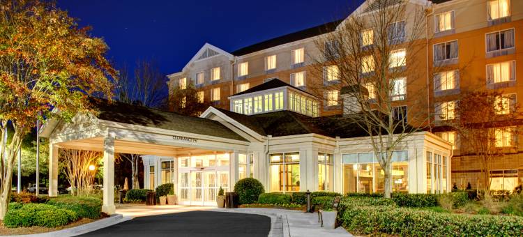 北亚特兰大/阿尔普哈雷塔希尔顿花园酒店(Hilton Garden Inn Atlanta North/Alpharetta)图片