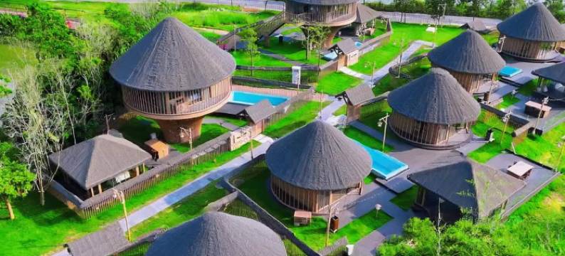 理想东方椰林稻香乡村民宿图片