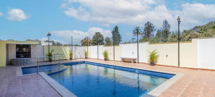 翡翠鸽(Treebo Premium Emerald Dove)图片