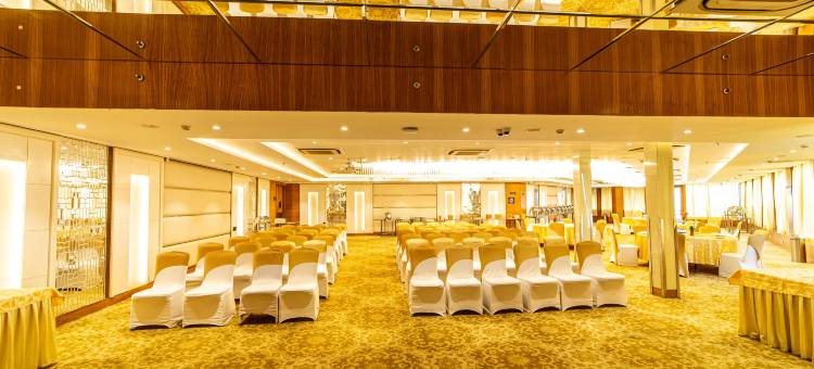 齐普尔金色郁金香酒店(Golden Tulip Jaipur)图片