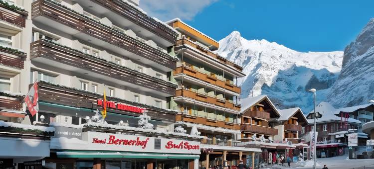 伯尔尼霍夫酒店(Hotel Bernerhof Grindelwald)图片