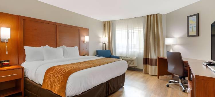 舒适套房酒店(Comfort Inn & Suites)图片