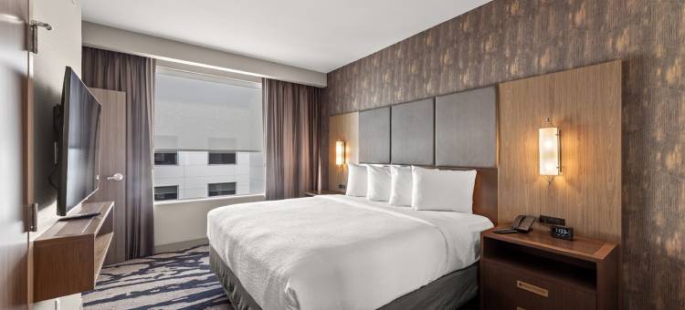 欧文拉斯科利纳斯希尔顿使馆套房酒店(Embassy Suites by Hilton Irving Las Colinas)图片