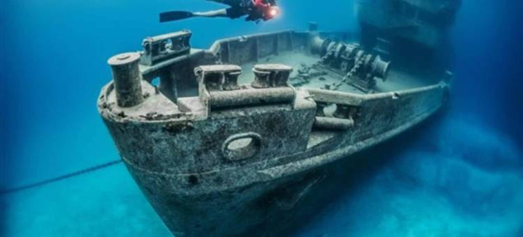 S1 BP 步行至海滩(S1 BP Steps to Beach)图片