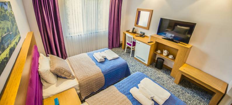 乌尊格尔金色酒店(Golden Inn Hotel Uzungöl)图片