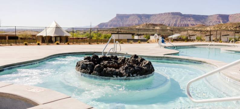 Zion Wildflower, BW Premier Collection图片