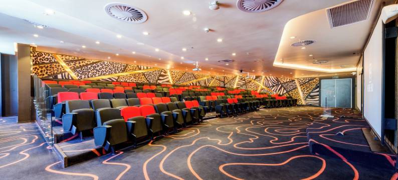 斯凯桑顿酒店(Hotel Sky, Sandton)图片