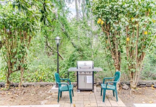 Honu Hale Minutes Away from the Beach!Hotel Overview