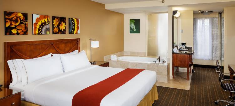 Holiday Inn Express 西米谷(Holiday Inn Express Simi Valley)图片