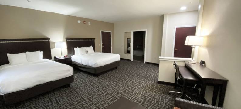 舒适套房酒店-金斯湾海军基地区(Comfort Suites Kings Bay Naval Base Area)图片