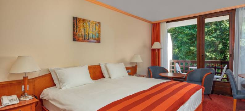 恩萨纳温泉沙尔堡酒店(Ensana Thermal Sárvár)图片