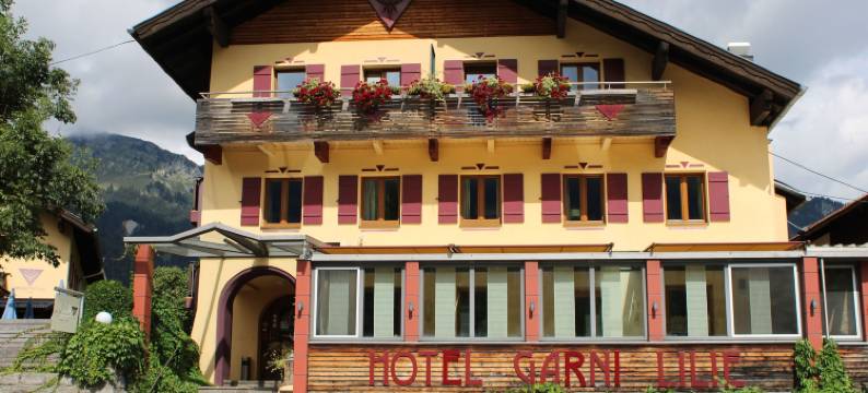 迪利尔伽尼酒店(Die Lilie / Hotel Garni)图片