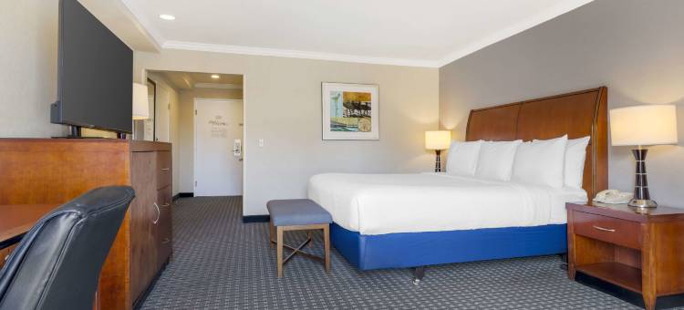 曼德拉海岸贝斯特韦斯特优质酒店(Best Western Plus Marina Shores Hotel)图片