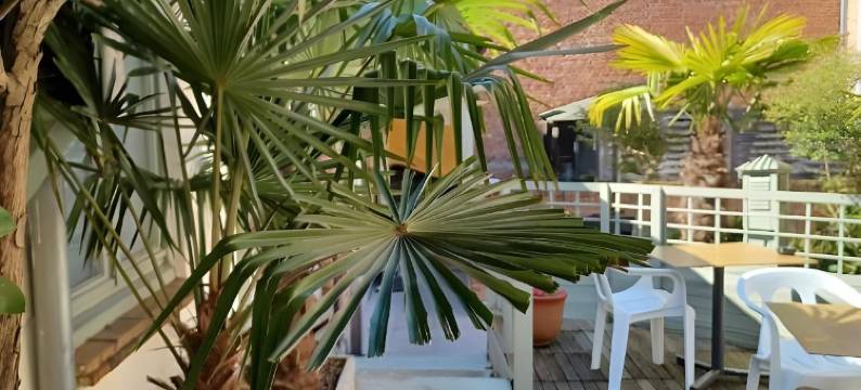 科菲波提酒店(Hotel Koffieboontje)图片