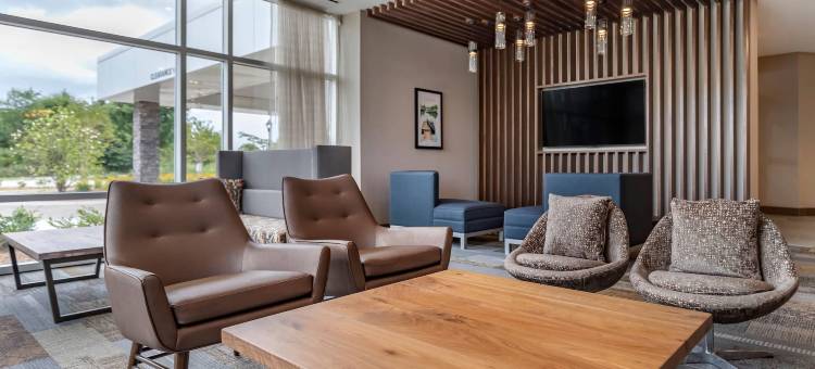 格林维尔坎布里亚酒店(Cambria Hotel Greenville)图片