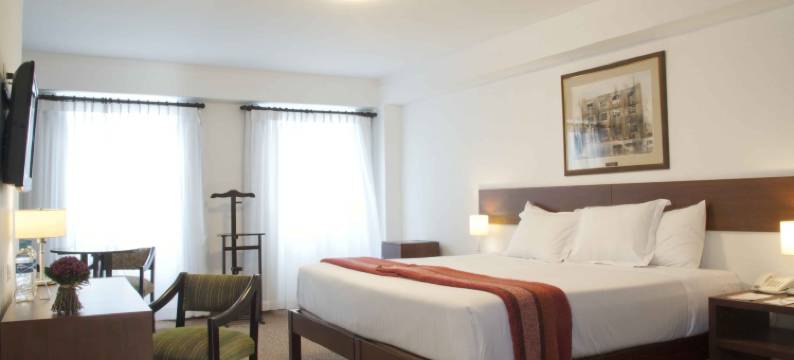 蒂拉维瓦阿雷基帕广场酒店(Tierra Viva Arequipa Plaza)图片