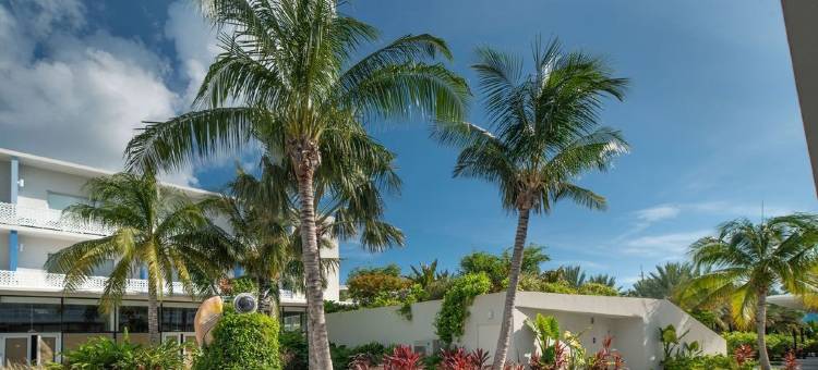 格罗夫岛的开曼豪华租赁(Cayman Luxury Rentals at the Grove)图片