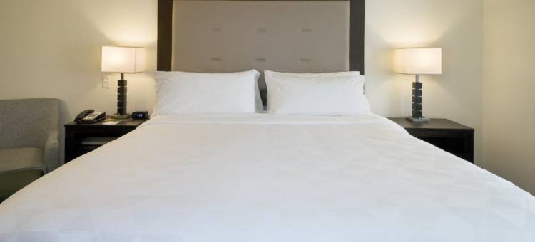 Holiday Inn 哈蒙德 - 北岸(Holiday Inn Hammond)图片