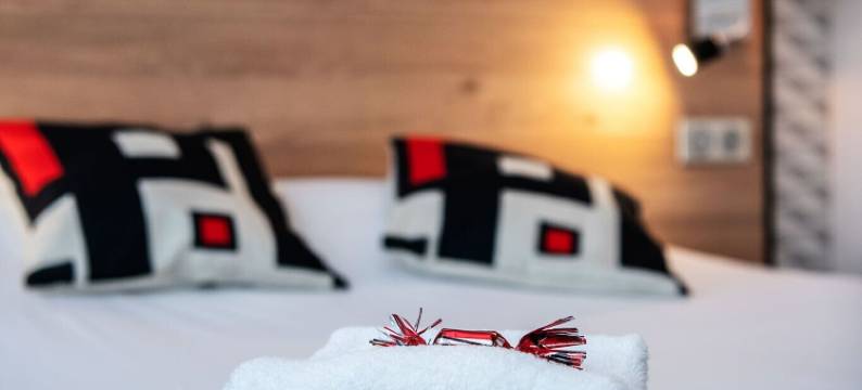 贝尔热拉克康铂酒店(Hôtel le Cyrano Bergerac)图片