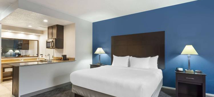 曼德林 - 弗农希尔斯舒适套房酒店(Comfort Inn & Suites Mundelein-Vernon Hills)图片