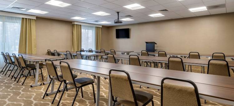 舒适套房酒店(Comfort Suites Kyle)图片