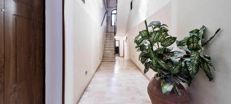 德马尔新房子(Newhouse dei Mille)图片