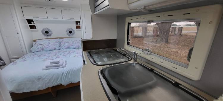 骆驼华丽露营酒店(Glamping with Llamas)图片