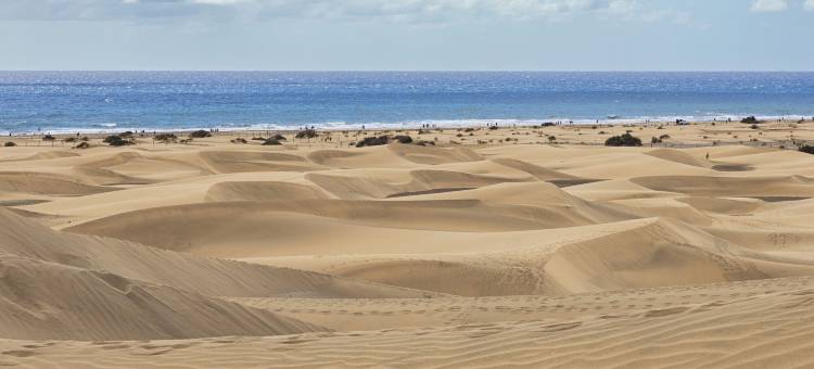 Smartr马斯帕洛马斯科林托(Smartr Maspalomas Corinto)图片