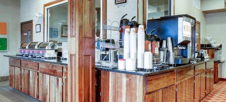 凯隆酒店(Clarion Suites)图片