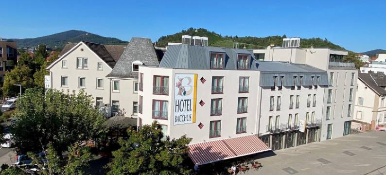 巴克斯酒店(Hotel Bacchus)图片