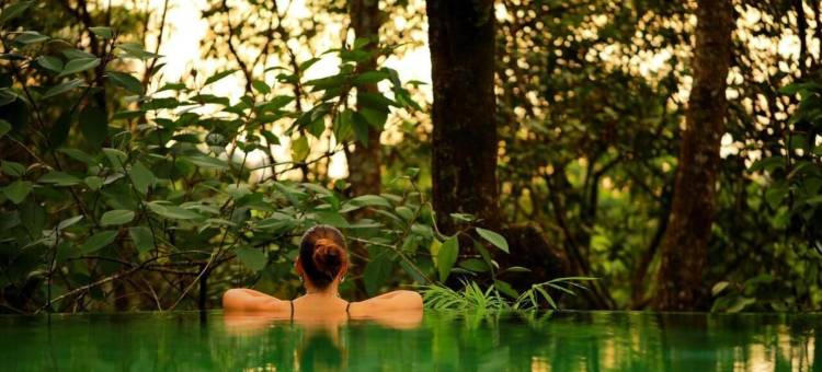 瓦亚纳德野外雨林旅馆-CGH地球酒店(Wayanad Wild - A CGH Earth Experience)图片