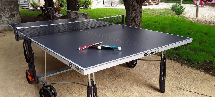 欧洲酒店(Logis Hôtel de l'Europe)图片