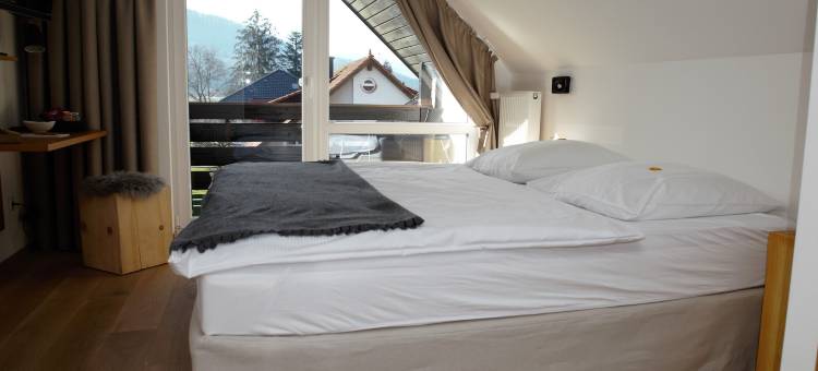 格赫里海尔斯臣斯图比旅馆(Gasthaus Hirschenstube & Gästehaus Gehri)图片