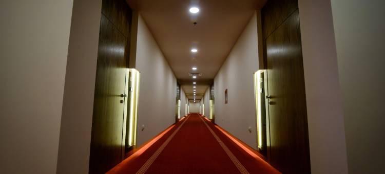 米帕斯酒店(Hotel Mepas)图片