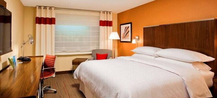 福朋喜来登酒店-芒特普罗斯佩克特奥黑尔(Four Points by Sheraton Mount Prospect O’Hare)图片