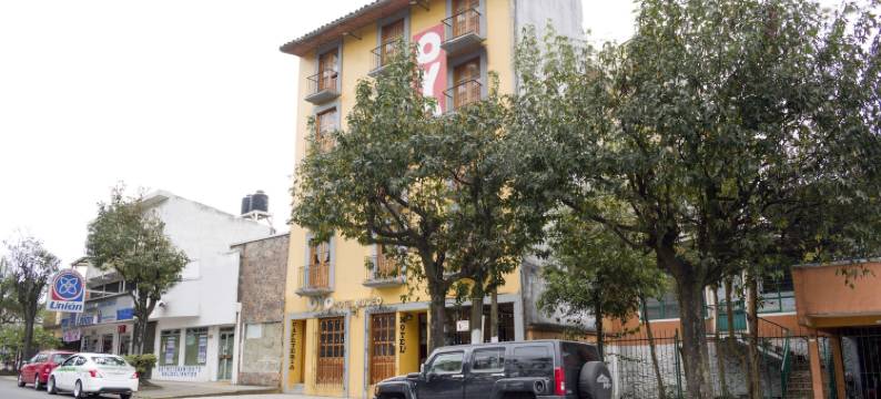 OYO 博物馆酒店(OYO Hotel Museo)图片