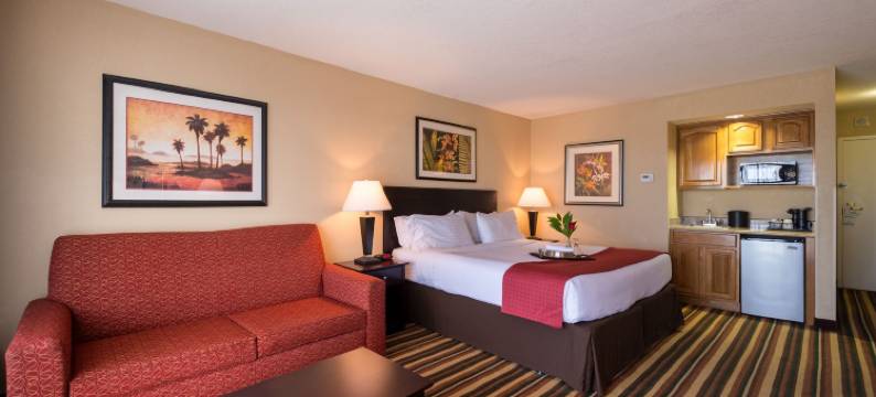 Holiday Inn & Suites 主门东(Holiday Inn & Suites ORLANDO SW - CELEBRATION AREA by IHG)图片