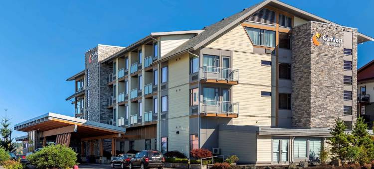 舒适套房酒店(Comfort Inn & Suites)图片