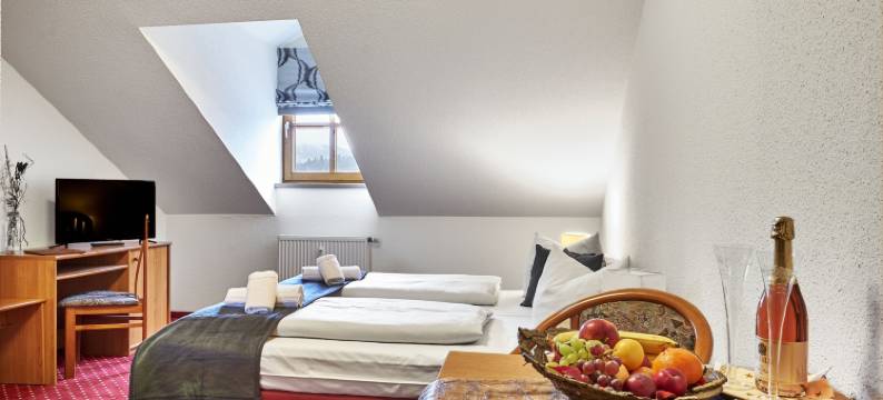 多瑙布里克兰德酒店(Landhotel Donaublick)图片