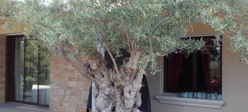 莱奥里尔自然休闲民宿(Lyolyl Bnb Nature Loisirs)图片