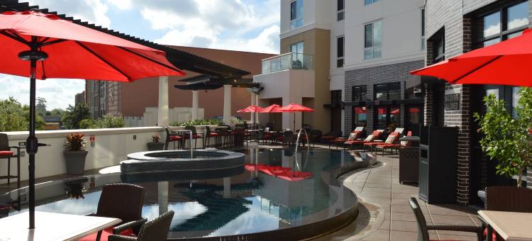 伍德兰斯凯悦尚萃酒店(Hyatt Centric the Woodlands)图片