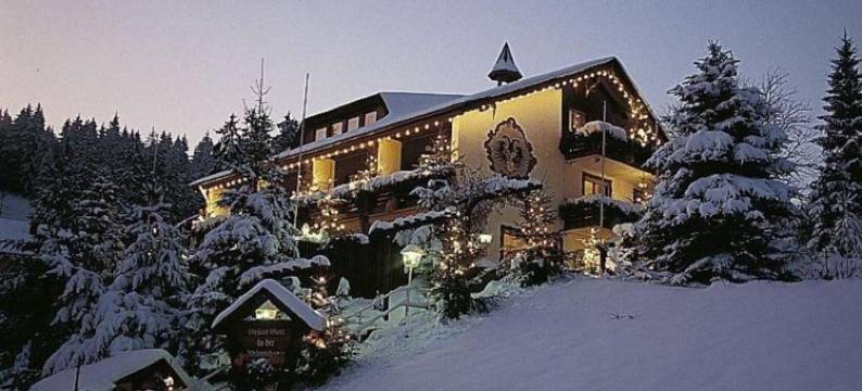 艾德尚兹酒店(Hotel Adlerschanze)图片