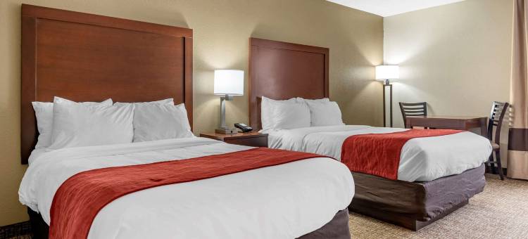 辛辛那提东门舒适套房酒店(Comfort Inn & Suites Cincinnati Eastgate)图片