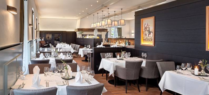 加格施洛斯克兰尼斯坦酒店(Hotel Jagdschloss Kranichstein)图片